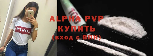 стаф Алексин