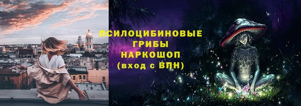 соль ск Абаза