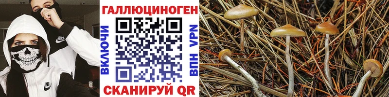 даркнет сайт  Тольятти  Псилоцибиновые грибы ЛСД 