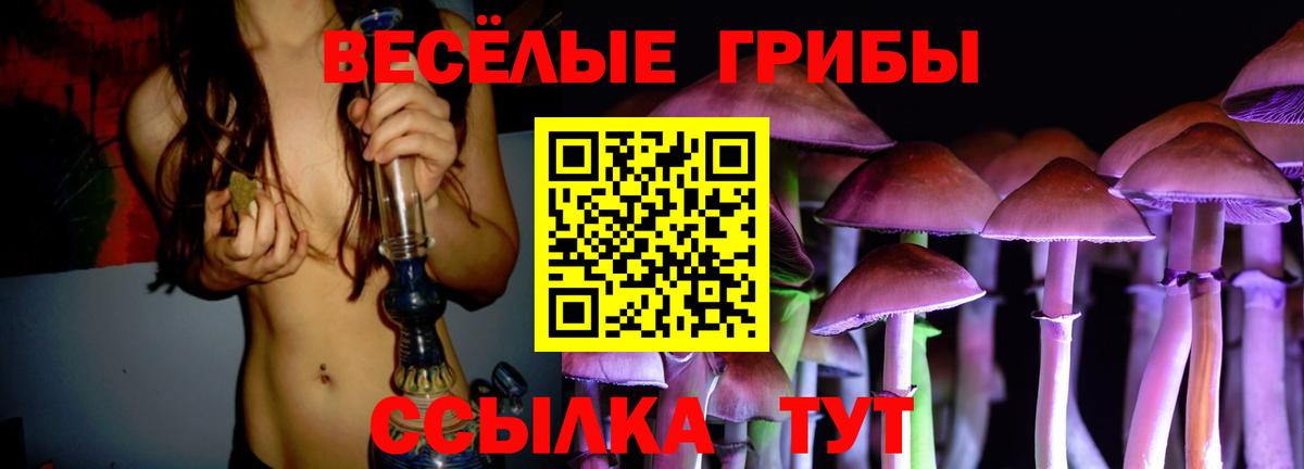 Галлюциногенные грибы Cubensis  Вход с VPN  Тольятти 